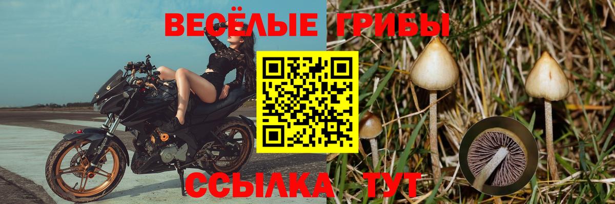 Галлюциногенные грибы Magic Shrooms Коркино